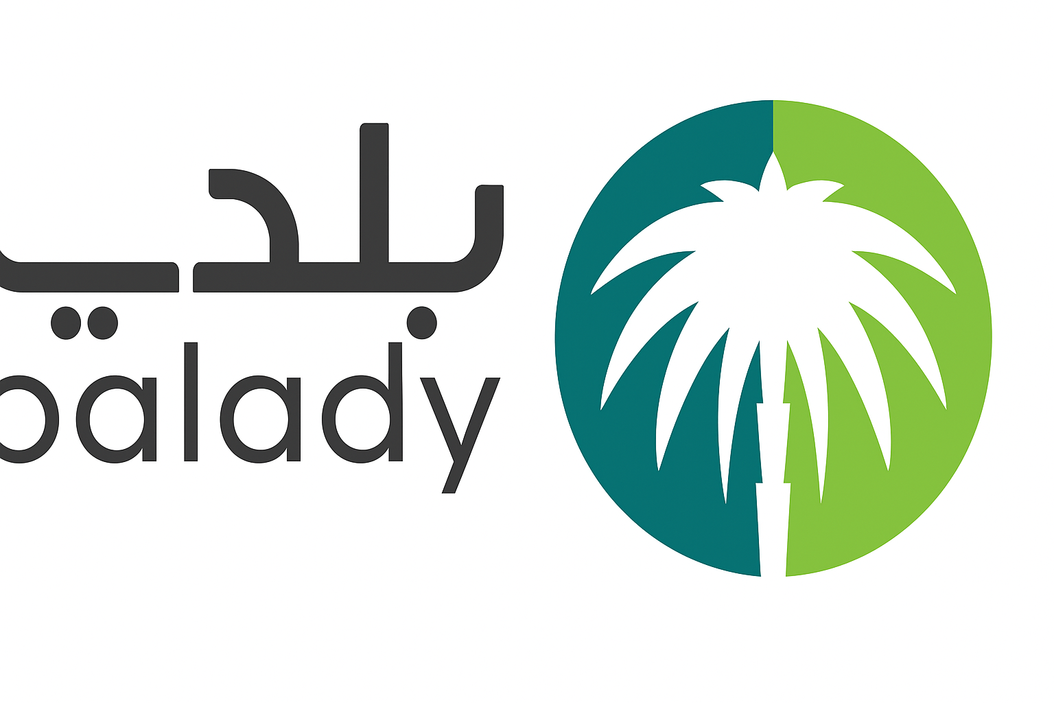 كيفية رفع خطاب شكوى للبلدية بخصوص الخدمات العامة أو المخالفات